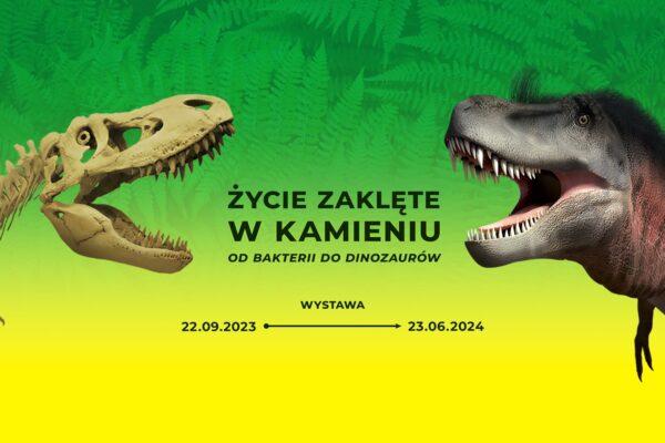 Muzeum Górnośląskie w Bytomiu zaprasza do odwiedzenia wystawy czasowej „Życie zaklęte w kamieniu. Od bakterii do dinozaurów”. Ekspozycja będzie otwarta do 23 czerwca. Wstęp w cenie biletu na wystawę czasową.