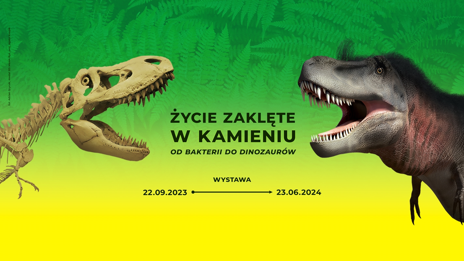 Muzeum Górnośląskie w Bytomiu zaprasza do odwiedzenia wystawy czasowej „Życie zaklęte w kamieniu. Od bakterii do dinozaurów”. Ekspozycja będzie otwarta do 23 czerwca. Wstęp w cenie biletu na wystawę czasową.