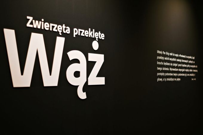 Fotografia przedstawia napis na ścianie na wystawie „Zwierzęta przeklęte. Wąż”.